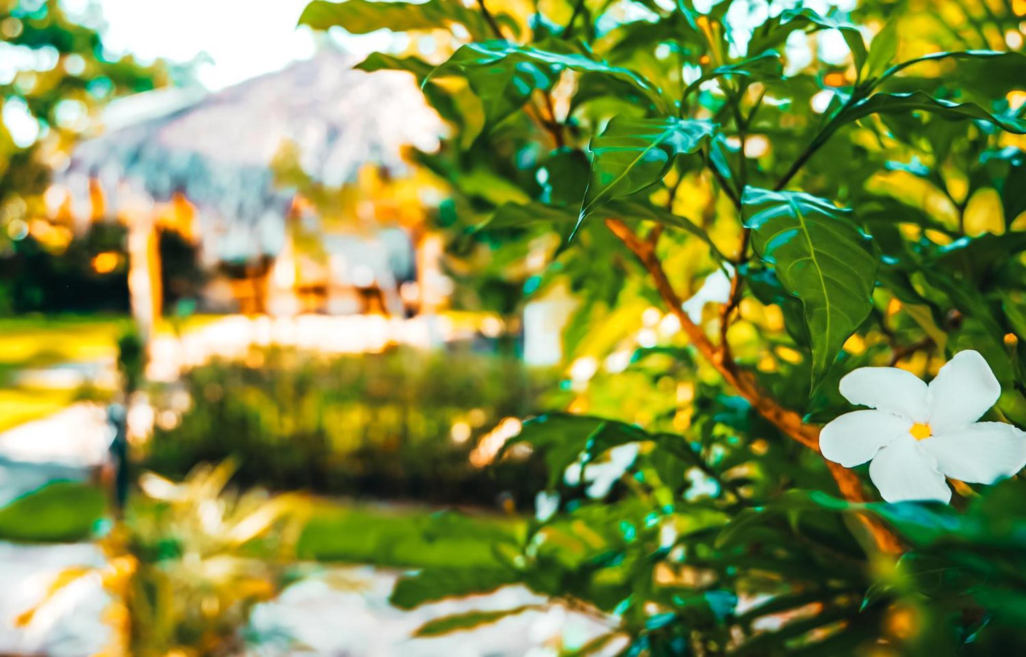 Hotel Enjoy Las Terrenas Exterior foto